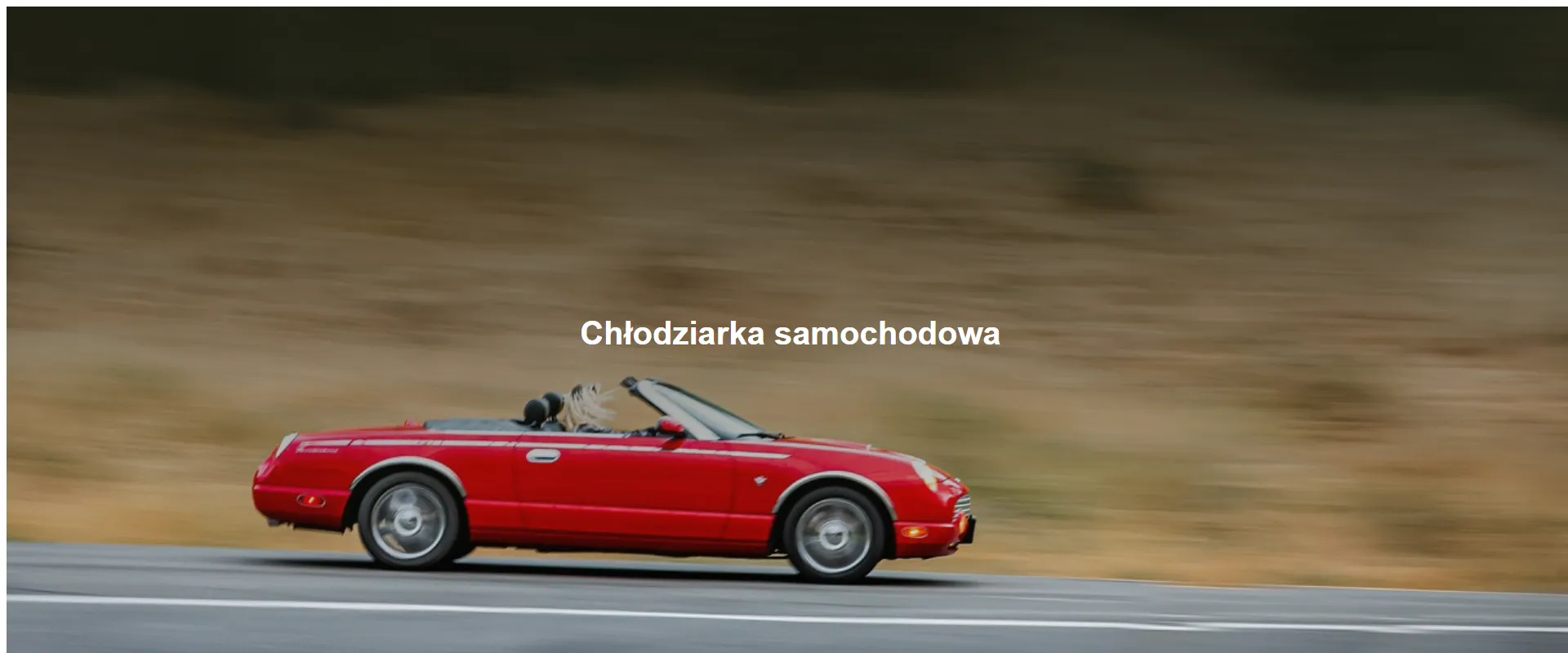 Chłodziarka samochodowa