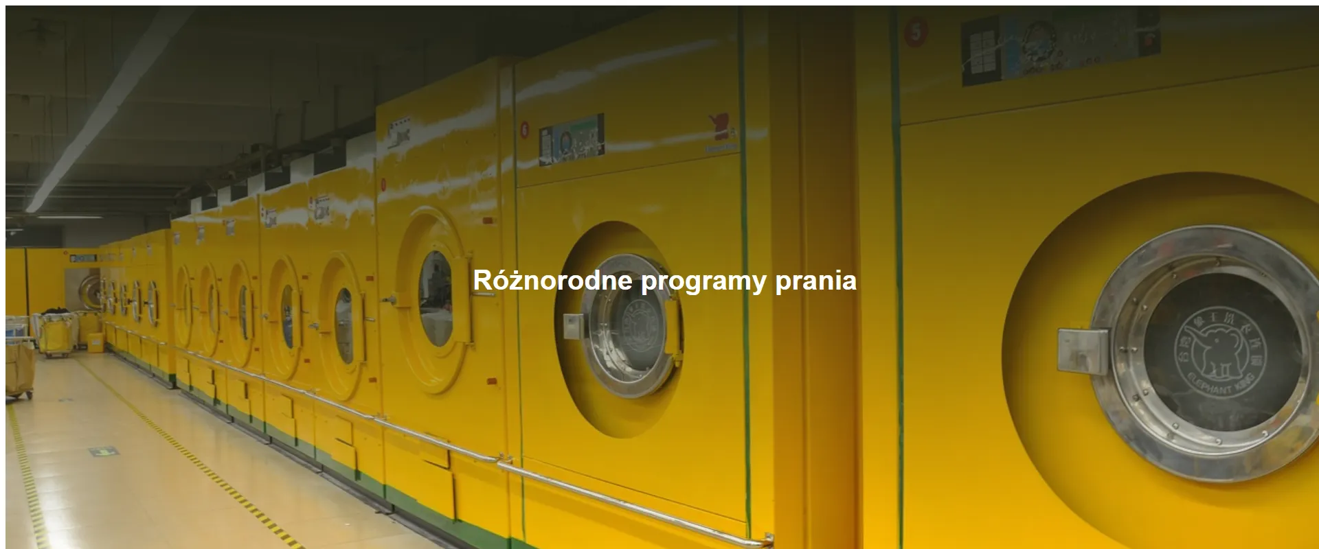 Różnorodne programy prania