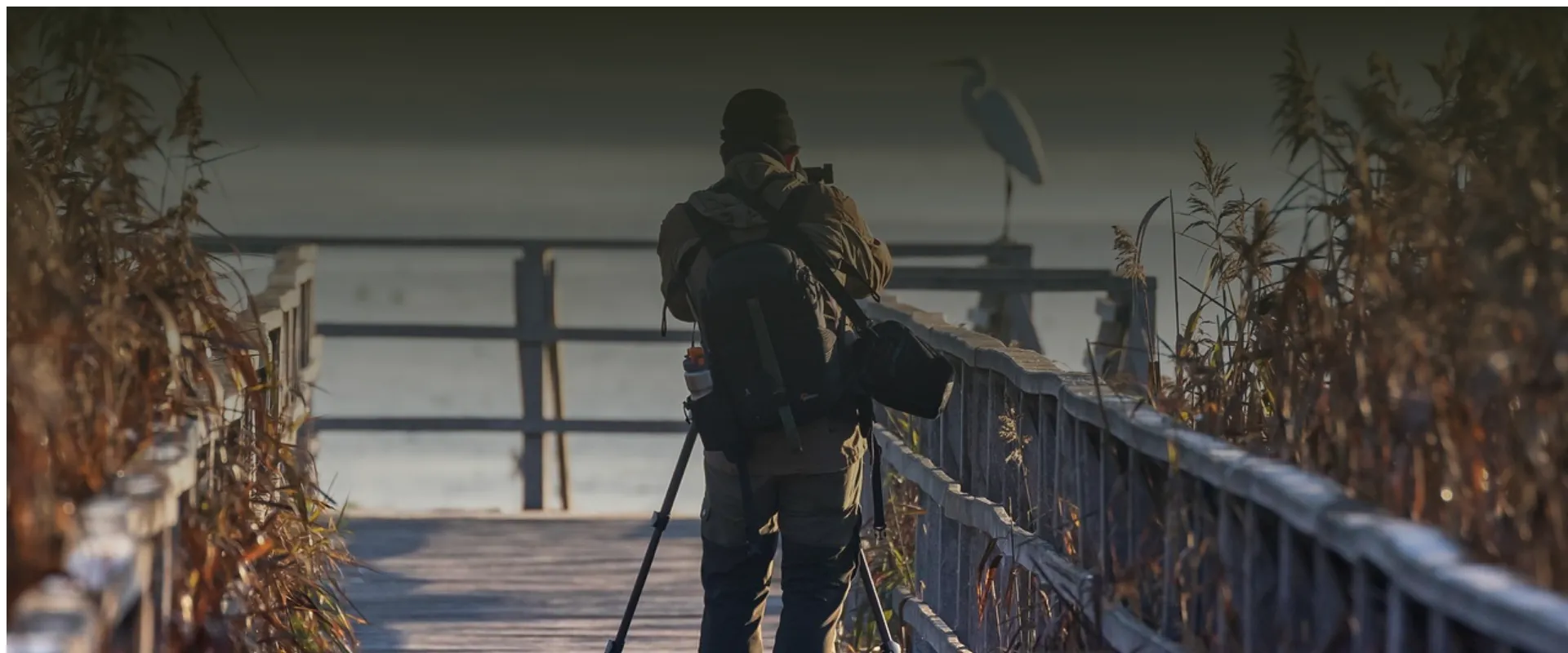 Jakie są najlepsze aparaty fotograficzne dla amatorów?